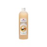 Shampooing Douche noix de coco & miel
