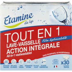 TABLETTES LAVE VAISSELLE TOUT EN 1 480G