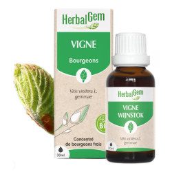 VIGNE 30ML Herbalgem