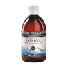 Argent Colloidal 5Ppm 500Ml Catalyons