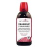 Draineur 5 Emonctoires 500Ml Diet Horizon