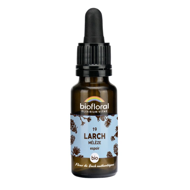 Elixir 19 Meleze Bio - 20 Ml