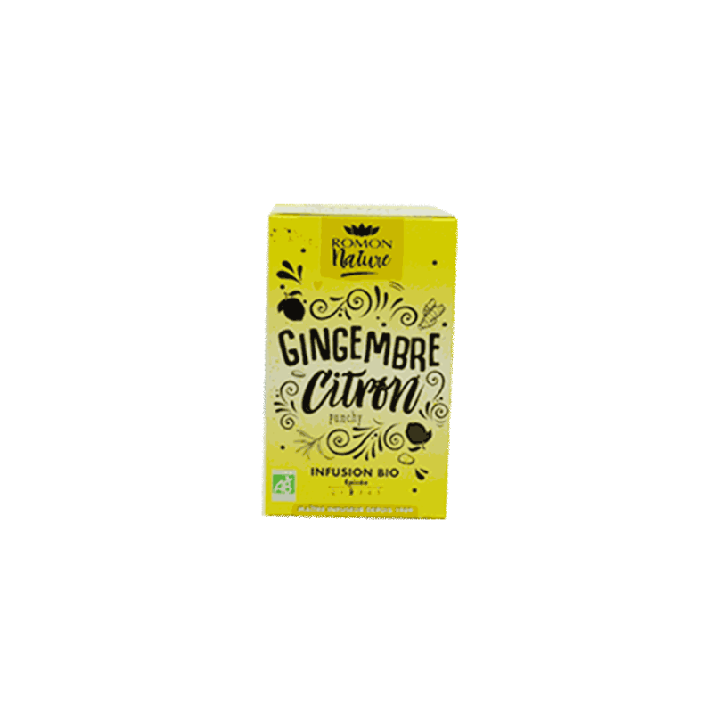 Infusion Plaisir Gingembre Citron X16Inf ROMON NATURE / PLANTASIA