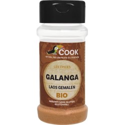 Galanga Poudre 25G Cook