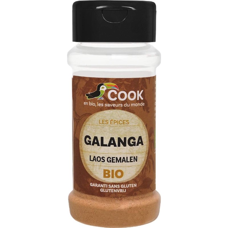 Galanga Poudre 25G Cook