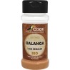 Galanga Poudre 25G Cook