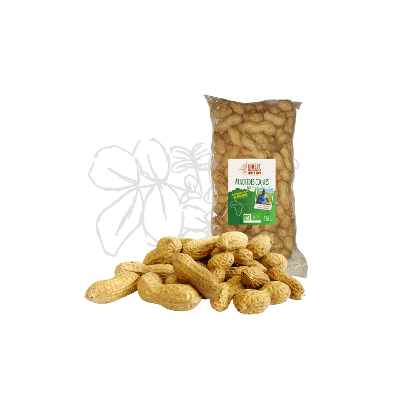 Arachides Egypte Grillees 330G PEPITE