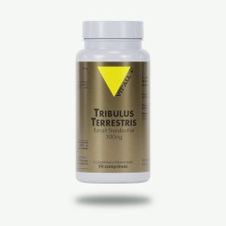 Tribulus 300Mg Extrait Standardisé VITALL +