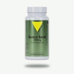 Basilic Sacre Tulsi 500Mg VITALL +