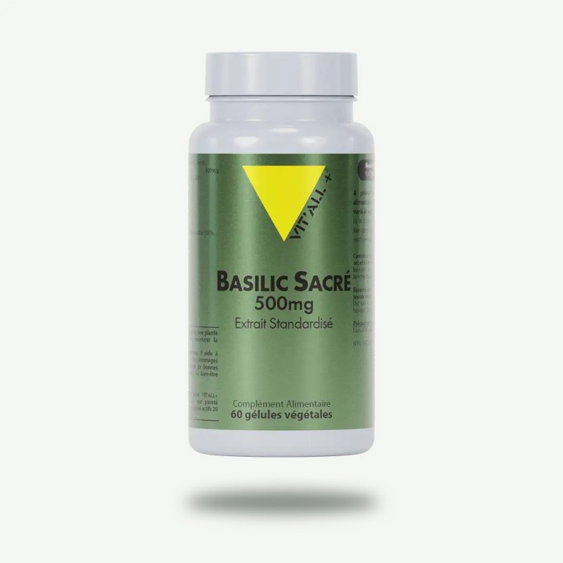 Basilic Sacre Tulsi 500Mg VITALL +
