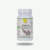Gattilier Bio* 200Mg Extrait Standardisé De Vitex VITALL +