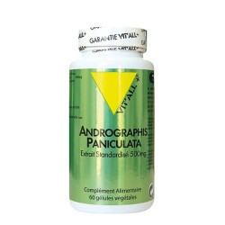 Andrographis 500Mg Extrait Standardisé VITALL +