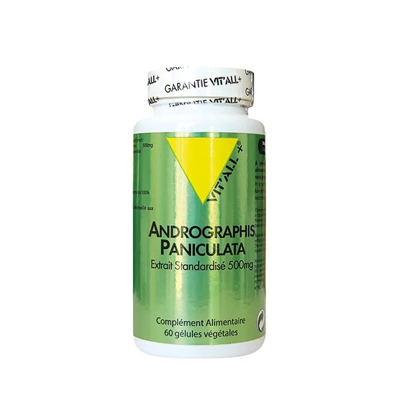 Andrographis 500Mg Extrait Standardisé VITALL +